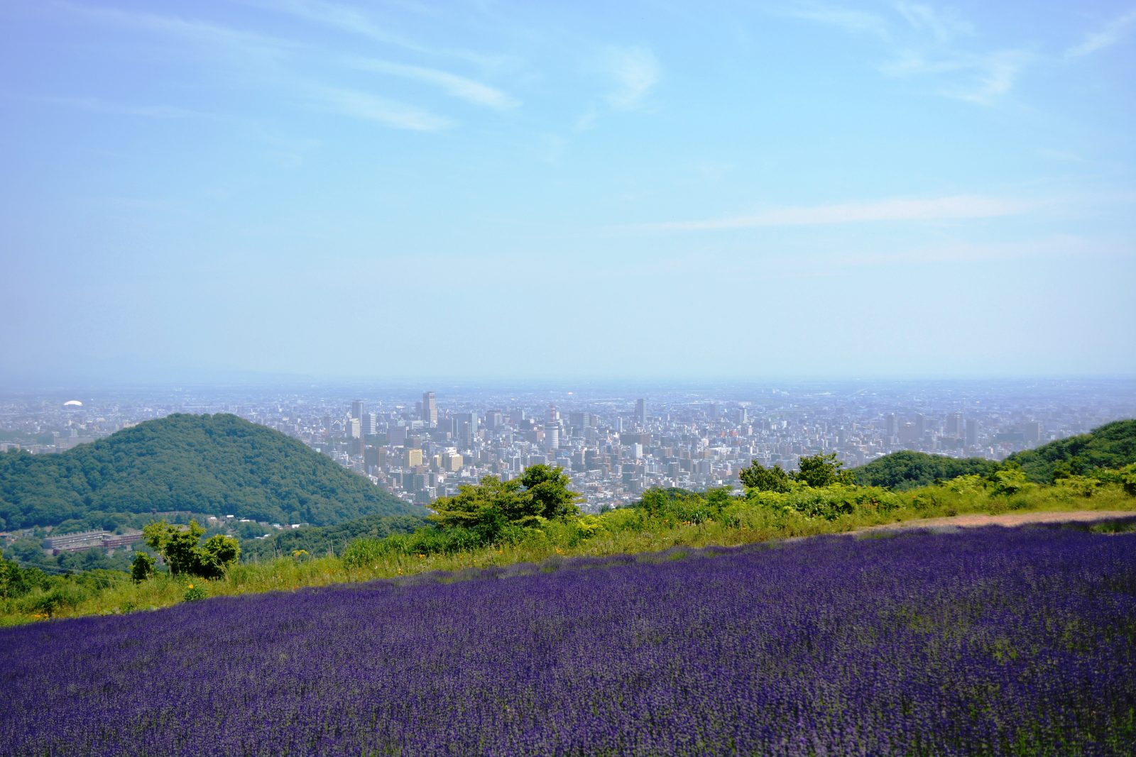 札幌幌见峠|札幌大通公园美爵酒店【官方】