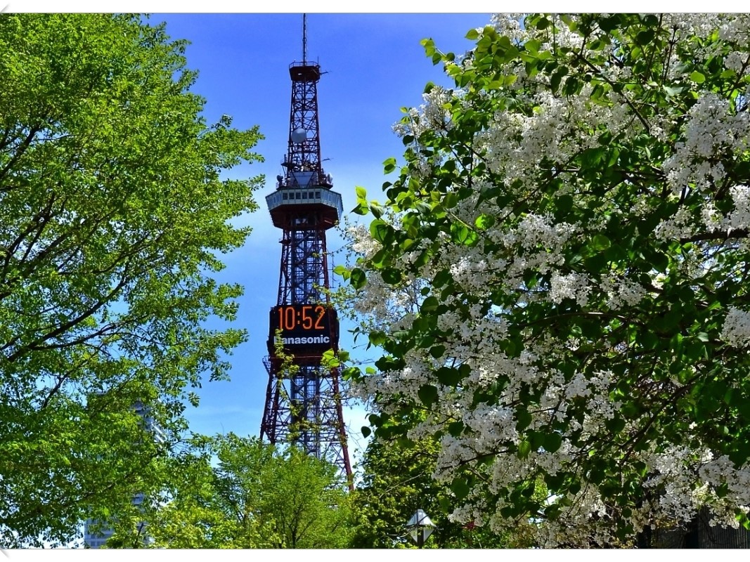 Sapporo TV Tower