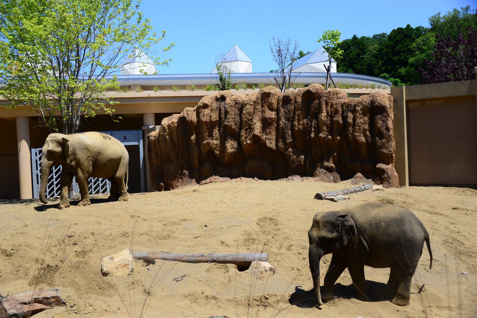 Maruyama, Sapporo-shi Zoo