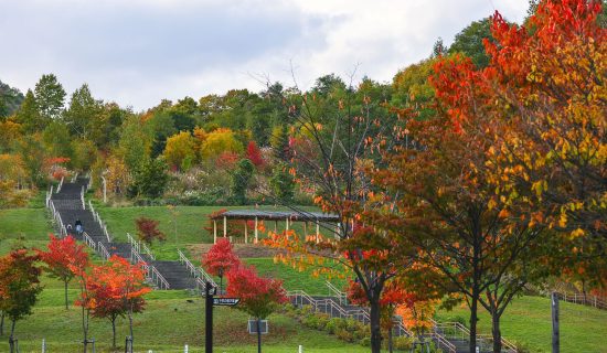 Gotenyama Park