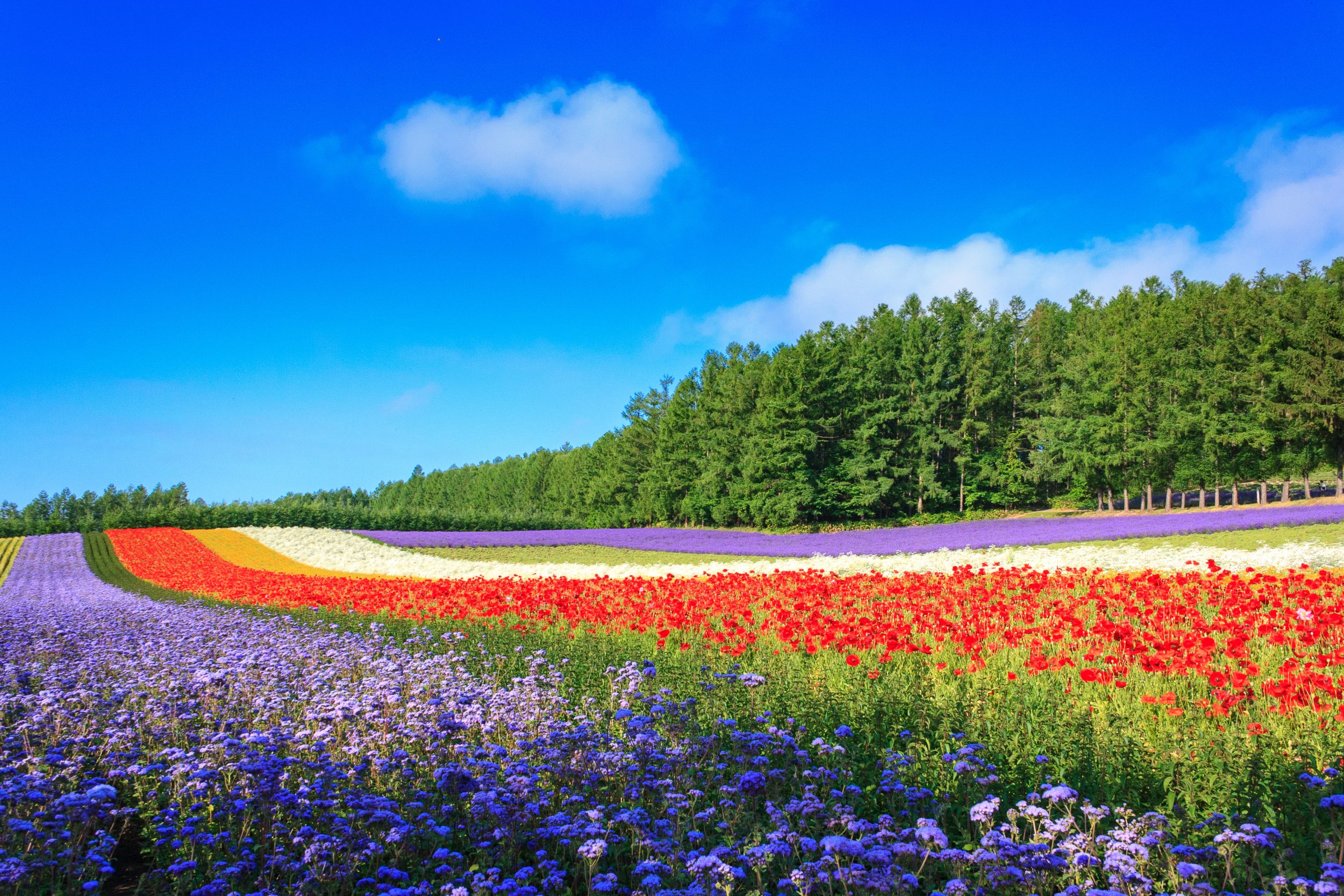 Bus tour near Sapporo