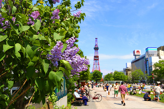 Bus tour near Sapporo | Grand Mercure Sapporo Odori Park