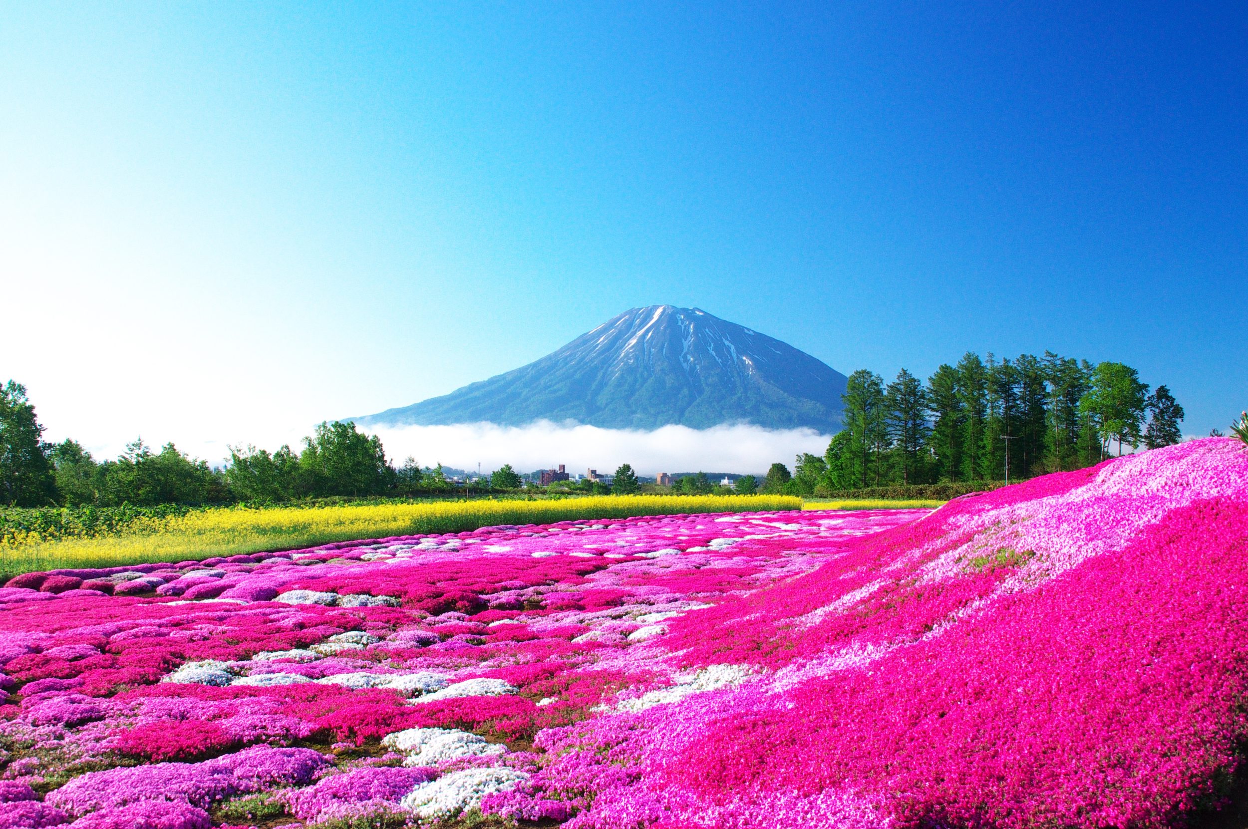 Introducing the ranking of sightseeing and activities selling well in the suburbs of Sapporo