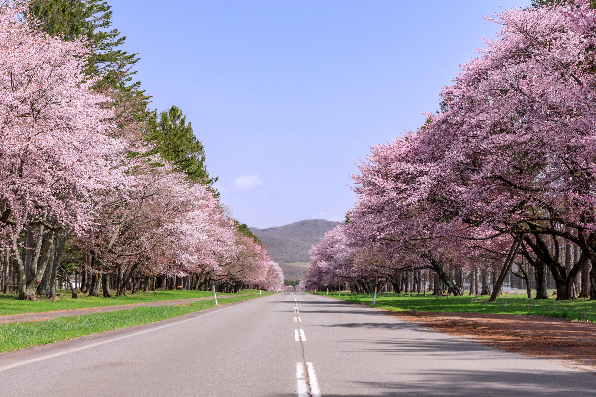 Main Visual Image| Grand Mercure Sapporo Odori Park