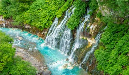 Sapporo Suburb Activities Sales Ranking