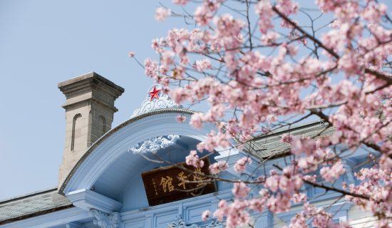 A stay in April, feeling the cherry blossom season