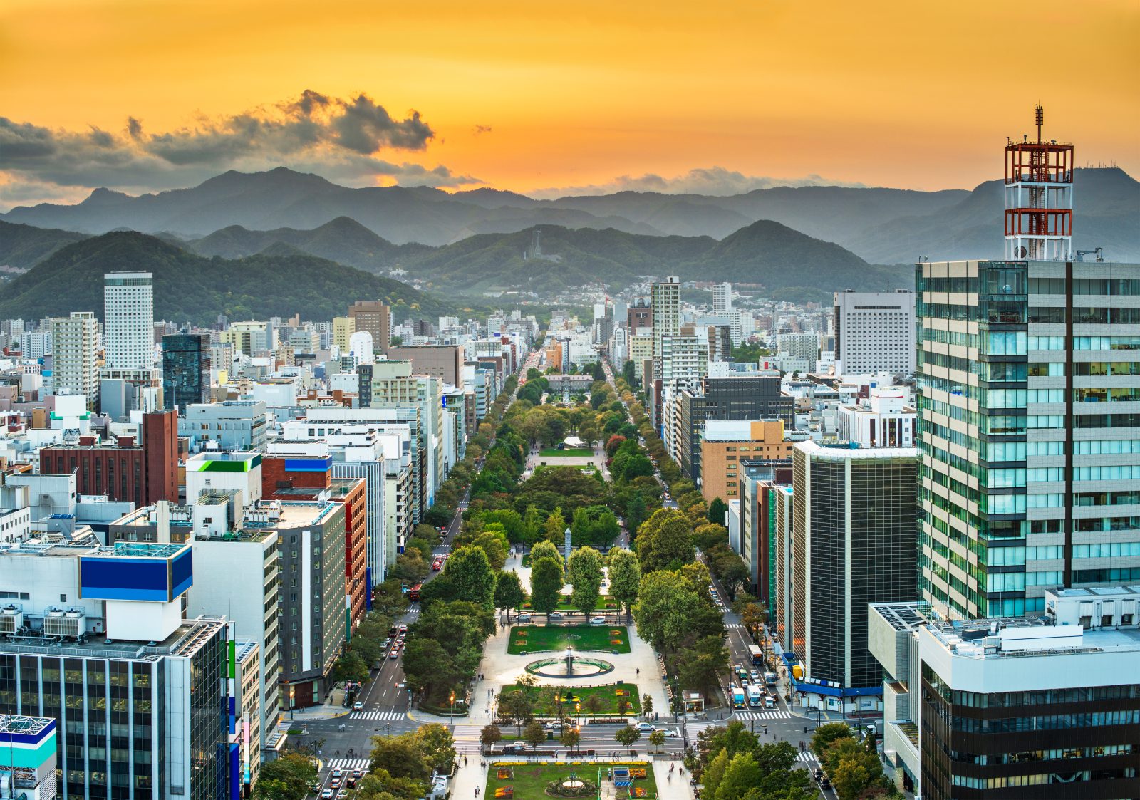 아침 식사 뷔페 포함