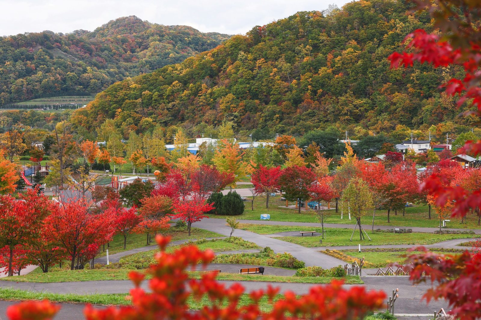 五天山公園|札幌大通公園美爵酒店【官方】