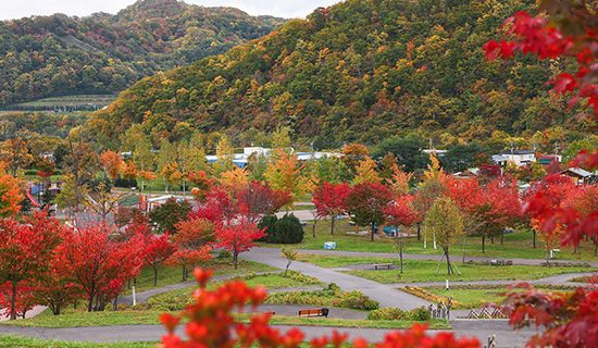 照片畫廊|札幌大通公園美爵酒店