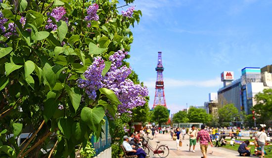 フォトギャラリー|グランドメルキュール札幌大通公園